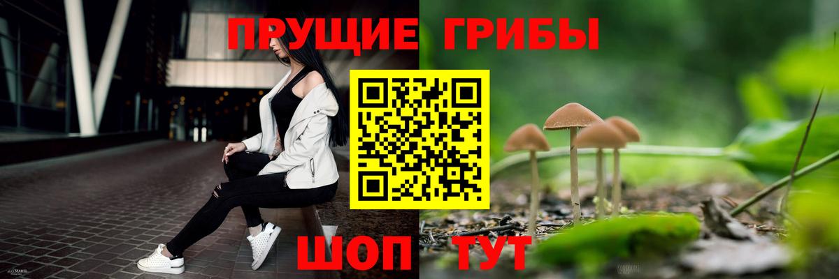 Гулькевичи  Галлюциногенные грибы ЛСД  Вход с VPN 