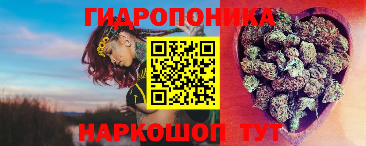 Конопля Bruce Banner  Марихуана тримм  Гулькевичи  Вход с VPN 